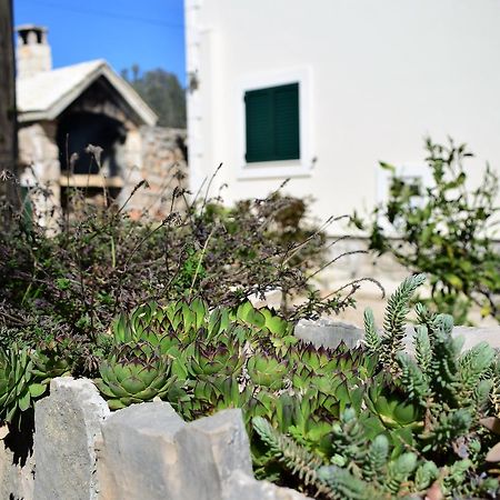 Apartment Ivica Mali Drvenik Dış mekan fotoğraf